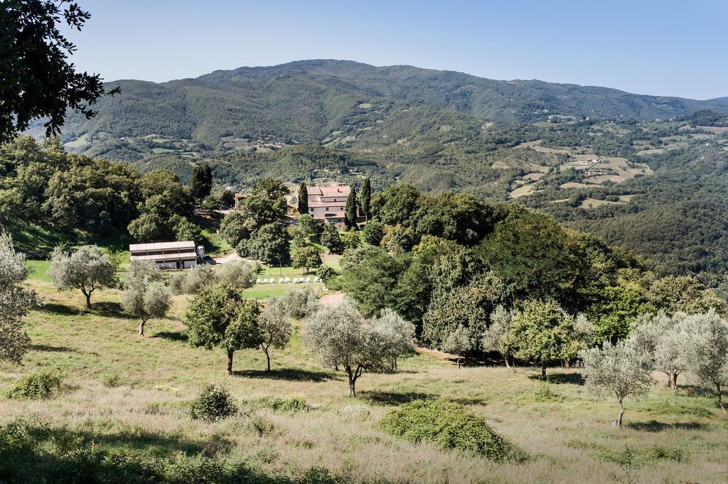 Agriturismo Di Baroni Enzo Dicomano Extérieur photo