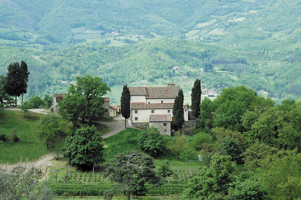 Agriturismo Di Baroni Enzo Dicomano Extérieur photo